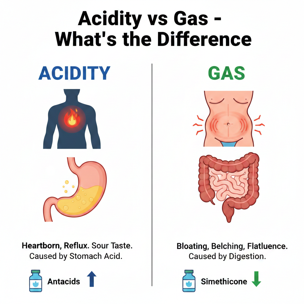 Acidity vs Gas – What’s the Difference illustration showing heartburn and acid reflux in the chest